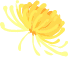 άƷvic()ٷվ