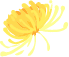 άƷvic()ٷվ